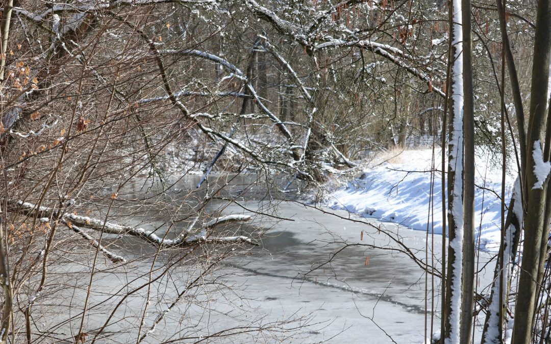 Winterwanderung im Januar