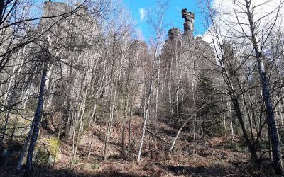 Bielatal im Elbsandsteingebirge