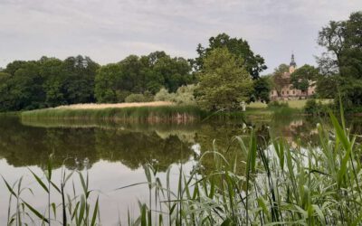 Schloßpark Machern