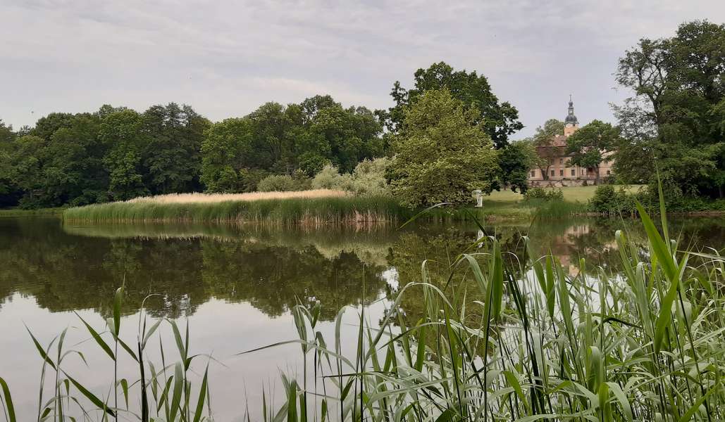 Schloßpark Machern