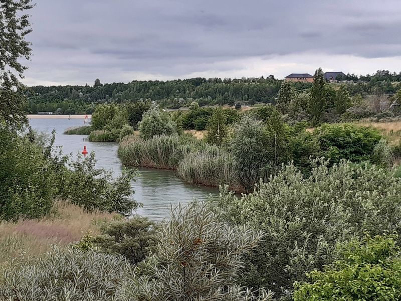 BärenBaden am Markkleeberger See [21/08/21]