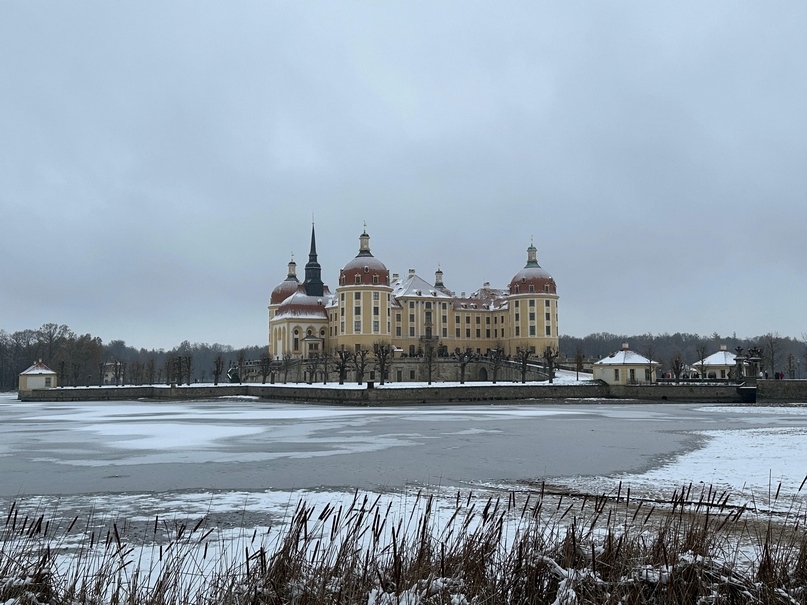 Ausflug zum Schloss Moritzburg [27/01/24]