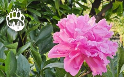 Botanischer Garten [19/04/26]